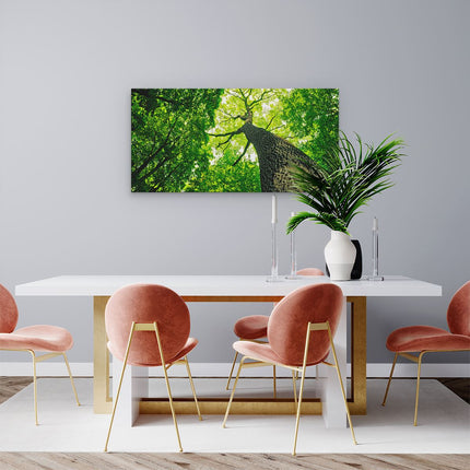 Canvas schilderij woonkamer Boom In Het Bos Met Fel Groene Bladeren