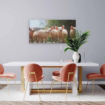 Canvas schilderij woonkamer Groep Jonge Varkens