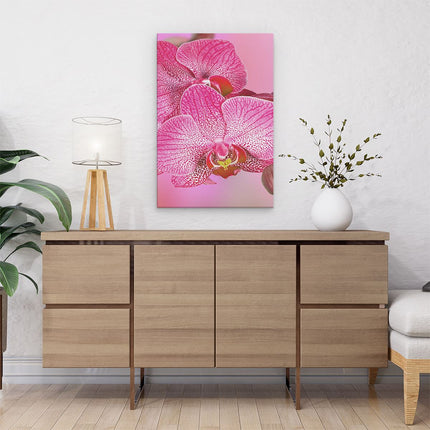 Canvas schilderij interieur Roze Orchidee Bloemen