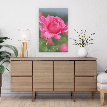 Canvas schilderij interieur Roze Roos Met Waterdruppels