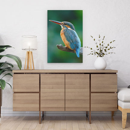 Canvas schilderij interieur Blauw Oranje IJsvogel Op Een Tak