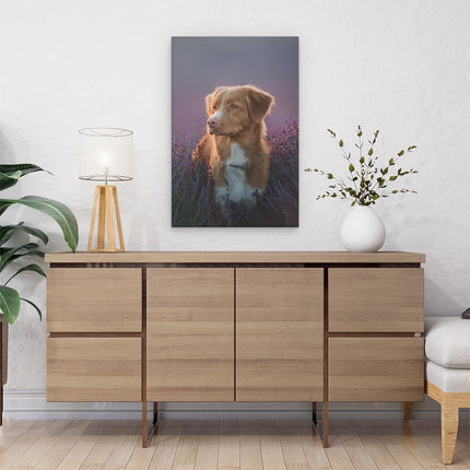 Canvas schilderij interieur Retriever Hond Tussen De Lavendel Bloemen