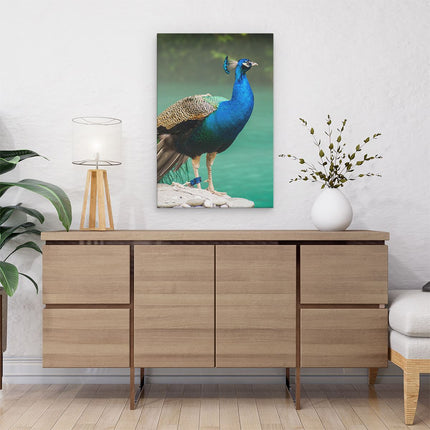 Canvas schilderij interieur Kleurrijke Pauw Bij Het Water