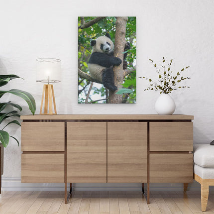 Canvas schilderij interieur Panda in de Bomen