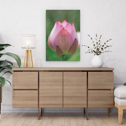 Canvas schilderij interieur Roze Lotusbloem
