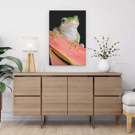 Canvas schilderij interieur Kikker II