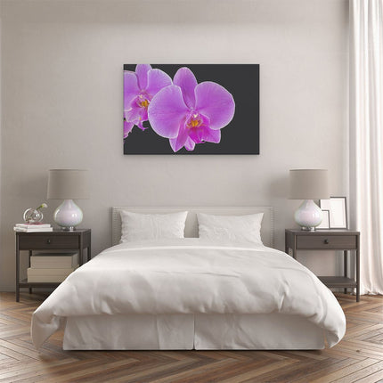 Canvas schilderij slaapkamer Licht Paarse Orchidee - Bloem