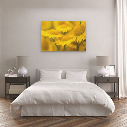 Canvas schilderij slaapkamer Gele Kamille Bloemen