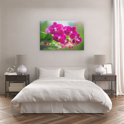 Canvas schilderij slaapkamer Roze Orchidee Bloemen