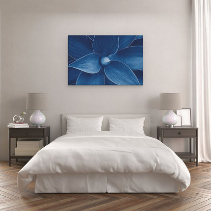 Canvas schilderij slaapkamer Blauwe Agave Plant - Bloem