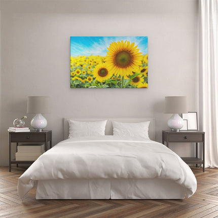 Canvas schilderij slaapkamer Zonnebloemen Veld 