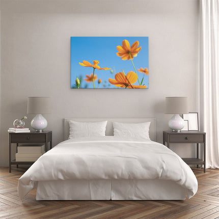 Canvas schilderij slaapkamer Oranje Cosmea Bloemen
