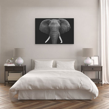 Canvas schilderij slaapkamer Olifantenkop - Olifant - Zwart Wit