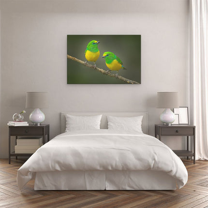 Canvas schilderij slaapkamer Twee Groen Gele Zangvogels Op Een Tak