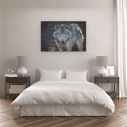 Canvas schilderij slaapkamer Wolvenkop - Grijze Wolf