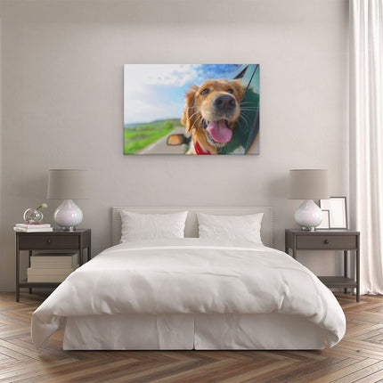 Canvas schilderij slaapkamer Golden Retriever Hond Uit Een Auto Raam