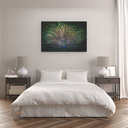Canvas schilderij slaapkamer Pauw Met Kleurrijke Veren - Kleur