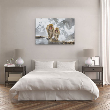 Canvas schilderij slaapkamer Twee Aapjes In De Sneeuw Op Rotsen