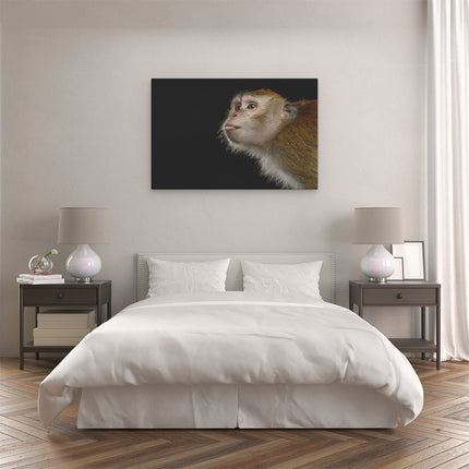 Canvas schilderij slaapkamer Apenkop Met Zijn Tong Uit - Aap