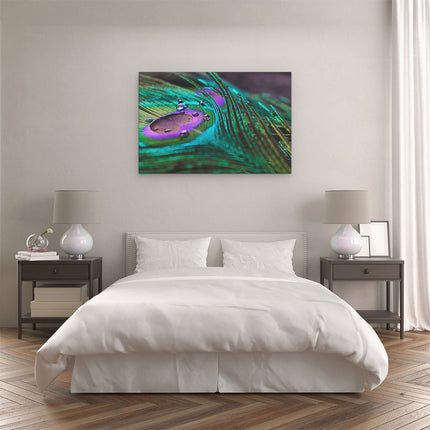 Canvas schilderij slaapkamer Kleurrijke Pauw Veer Met Waterdruppels