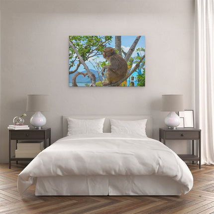 Canvas schilderij slaapkamer Aap In De Boom