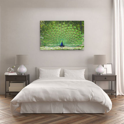 Canvas schilderij slaapkamer Pauw Met Grote Kleurrijke Veren