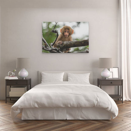 Canvas schilderij slaapkamer Klein Baby Aapje Op Een Tak