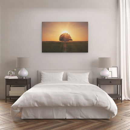 Canvas schilderij slaapkamer Zonsondergang Achter Een Grote Boom