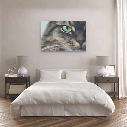 Canvas schilderij slaapkamer Kat Met Groene Ogen Van Dichtbij