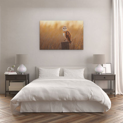 Canvas schilderij slaapkamer Kerkuil Op Een Boomstronk
