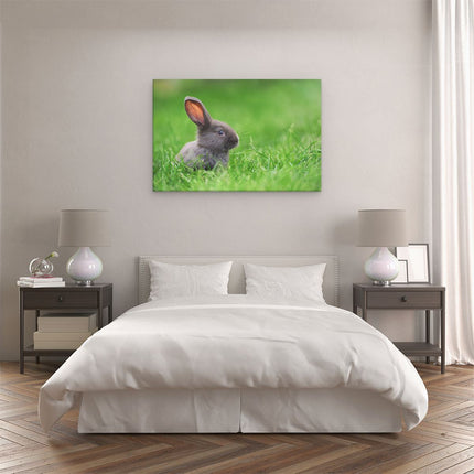 Canvas schilderij slaapkamer Konijn In Het Gras
