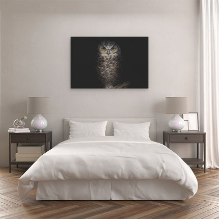 Canvas schilderij slaapkamer Uil Op Een Tak In De Nacht