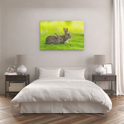 Canvas schilderij slaapkamer Twee Konijnen Op Het Groene Gras