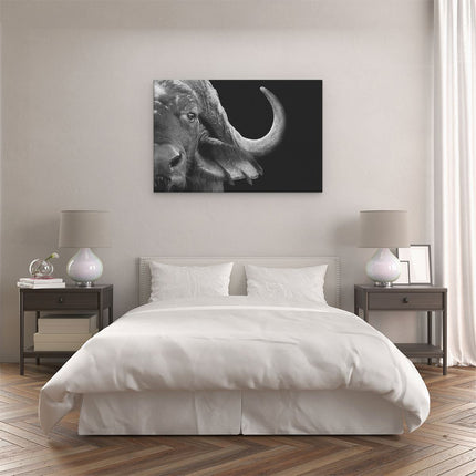 Canvas schilderij slaapkamer Buffel - Buffelkop - Zwart Wit