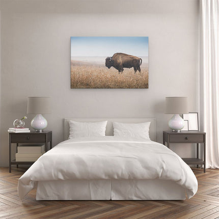 Canvas schilderij slaapkamer Bizon in het Gras