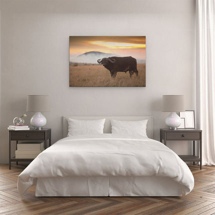 Canvas schilderij slaapkamer Buffel in het Gras
