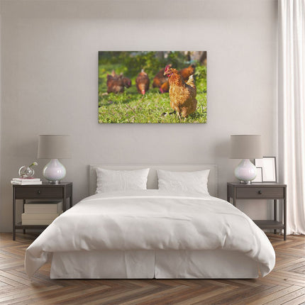 Canvas schilderij slaapkamer Kippen in het Gras