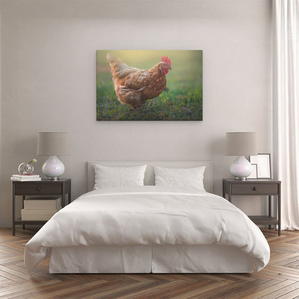 Canvas schilderij slaapkamer Kip in het Gras
