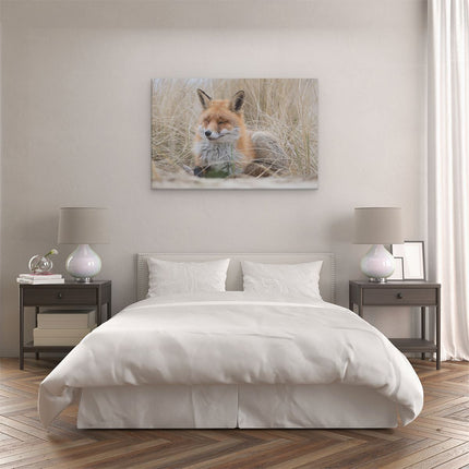 Canvas schilderij slaapkamer Vos in de Duinen 