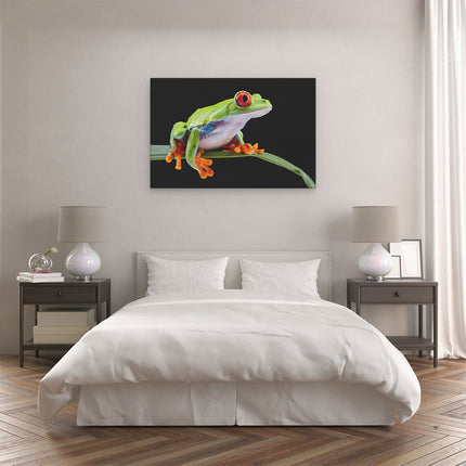 Canvas schilderij slaapkamer Kikker met Rode Ogen op een Plant