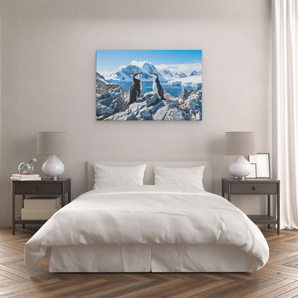 Canvas schilderij slaapkamer Twee Pinguïns op Stenen in Antarctica