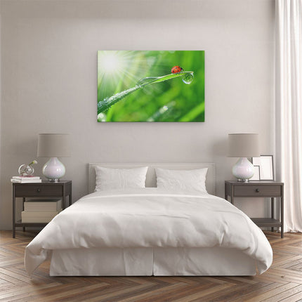 Canvas schilderij slaapkamer Lieveheersbeestje op een Grasspriet
