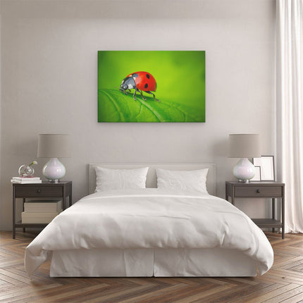 Canvas schilderij slaapkamer Lieveheersbeestje op een Groen Blad 