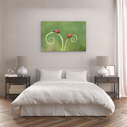 Canvas schilderij slaapkamer Twee Lieveheersbeestjes in het Gras
