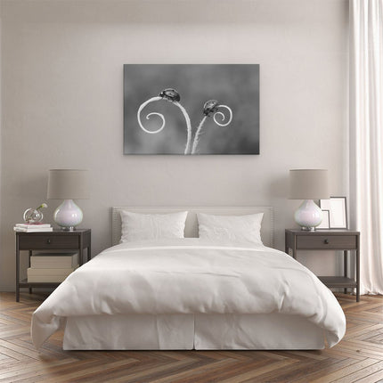 Canvas schilderij slaapkamer Twee Lieveheersbeestjes in het Gras - Zwart Wit