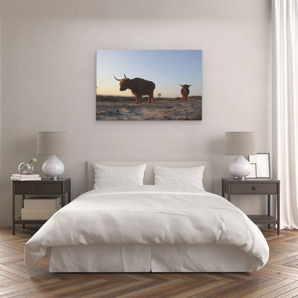 Canvas schilderij slaapkamer Twee Schotse Hooglanders op het Strand