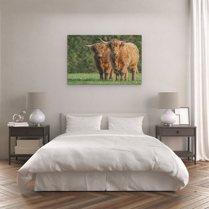 Canvas schilderij slaapkamer Twee Schotse Hooglanders in de Groene Weide