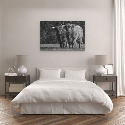 Canvas schilderij slaapkamer Twee Schotse Hooglanders in de Groene Weide - Zwart Wit