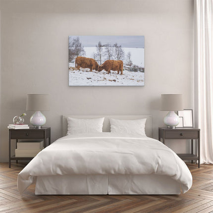 Canvas schilderij slaapkamer Twee Schotse Hooglanders in de Sneeuw