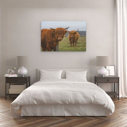 Canvas schilderij slaapkamer Twee Schotse Hooglanders in de Weide